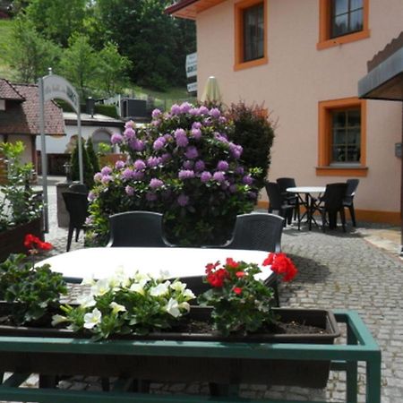 Hotel Hirsch Seebach Ngoại thất bức ảnh